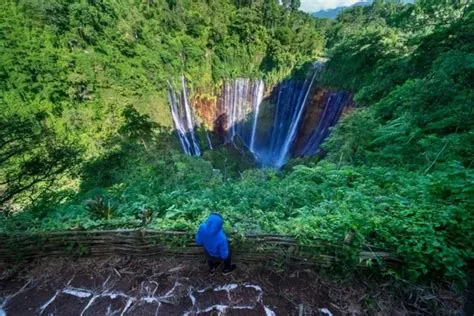  Thác Long Đại:  Nơi dòng nước như rồng đang bay lượn và vẻ đẹp kỳ ảo của núi non